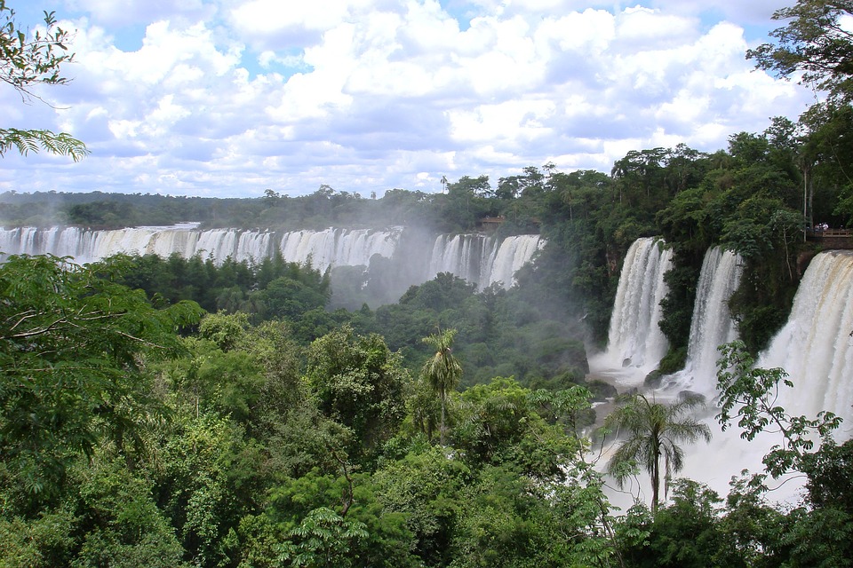 amazonské pralesy